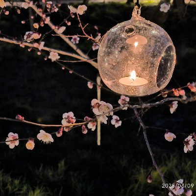 favir_sub's profile picture. @chernozem_cat の鍵垢 フォロー非推奨 何でも許せる人向け 敵以外はみんな通す ⚠️露悪