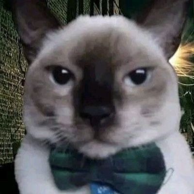 AlexxShiro's profile picture. 