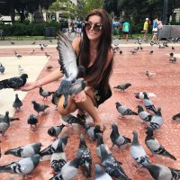 Mariane Montoya (@mariane663) 's Twitter Profile