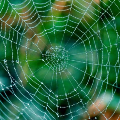 awakening is an inside job ! look beyond ! Peace ! ☀️
Farmer, entrepreneur, explorer, Psychologist, organic, ecologist !
cobweb : one world 🌏earth is in ICU