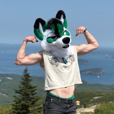 thefurrywolfy's profile picture. “Nothing changes if changes“