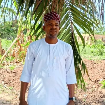 adomhibokennedy's profile picture. 