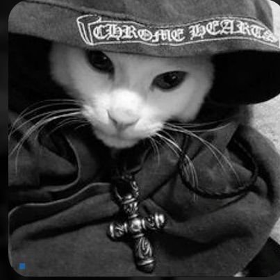 shad0w_whisper's profile picture. soy la oscuridad (soy negro).