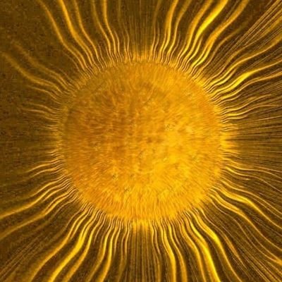 mai ho paramapurkha ko dāsā | dekhana āyo jagata tamāsā |