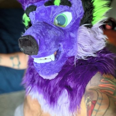 Obie π MP Profile
