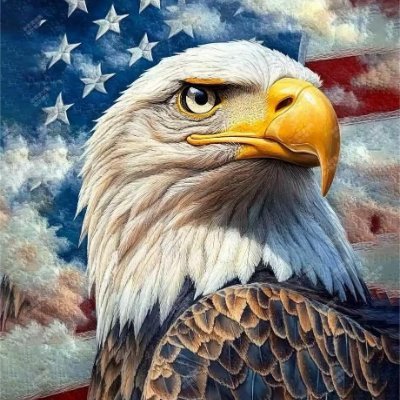 ✝️🌼 Corporate Leader | Enthusiastic & Uplifting| 🇺🇸 Proud American resident | MAGA | 🤝 | Welcome like-minded people! 🚫pornographic🚫 mechanical pers
