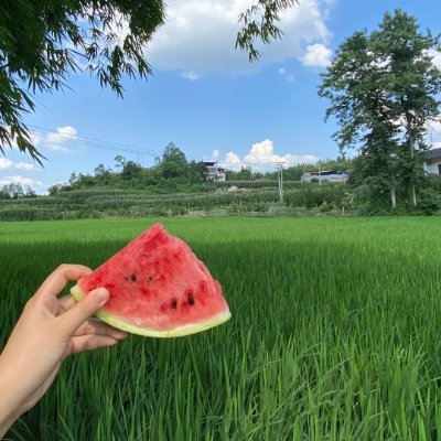 VeluraSylph's profile picture. 新しいお店を見つけて食べ歩き🍜🍰味の記憶が旅の思い出になります✨
🇹🇼🇭🇰🇰🇷で出会ったあの香りが、ふとした瞬間に心の奥でやさしく広がります。