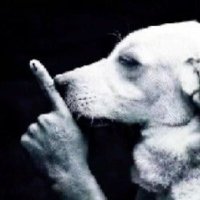 ozi (@6nete22795) 's Twitter Profile