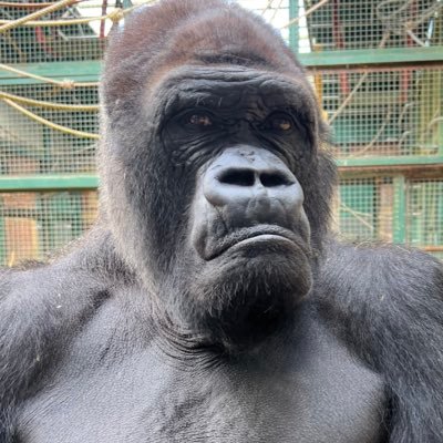 Corrathhh's profile picture. 