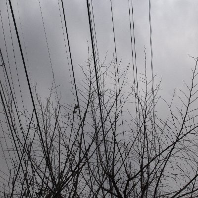 よろしくお願いします
((comms open)依頼等はDMまで)
https://t.co/Fxn7FF8bVY
