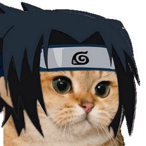 pepitooooo_____'s profile picture. Pépito