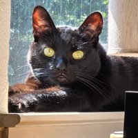 evlvSupply (@evlvsupply) 's Twitter Profile Photo evlvSupply (@evlvsupply) 's Twitter Profile Photo