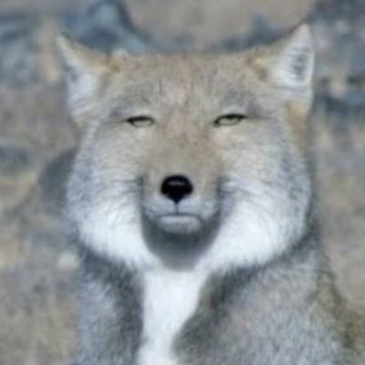 Jw4e028Gn317818's profile picture. 