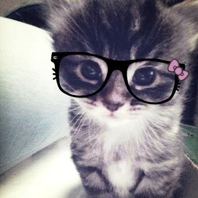 loveloraaa71991's profile picture. 