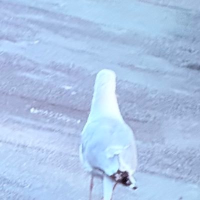 ene_river1969's profile picture. 裏垢｜無言フォロー失礼します🙇‍♀️