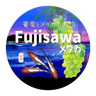 神奈川県でめだかの飼育販売を行っております。
無人販売は〒251-0052 神奈川県藤沢市藤沢1丁目8で行っております。
ヤフオク⇨【Fujisawaめだか】で検索