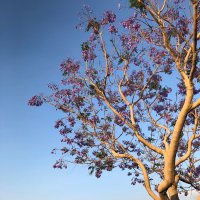 NOUF (@nuuwi_) 's Twitter Profile Photo