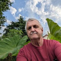 JD Epstein (@epsteinjd33577) 's Twitter Profile
