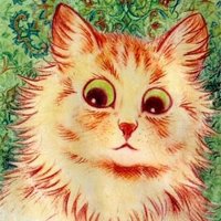 imaginary living body (@abs0luteis0late) 's Twitter Profile Photo imaginary living body (@abs0luteis0late) 's Twitter Profile Photo
