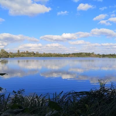 CurieuxFredo's profile picture. 