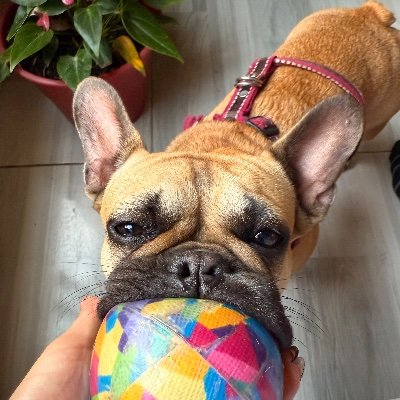 danigarzon268's profile picture. 
