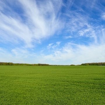 williamhk25's profile picture. Student