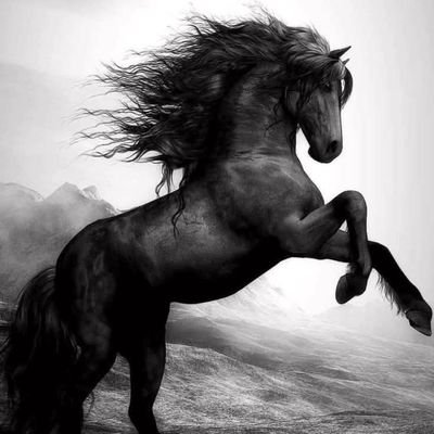 To love is half of what life is worth.
The other half is being loved..