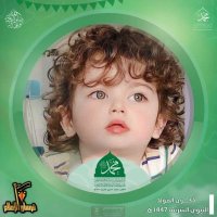 الرشيدي (@sd9d9) 's Twitter Profile