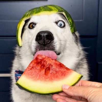 smoothbeneath's profile picture. Working for @Team_meme_