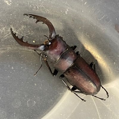 yrEqPX9lc192537's profile picture. たまに呟きます。