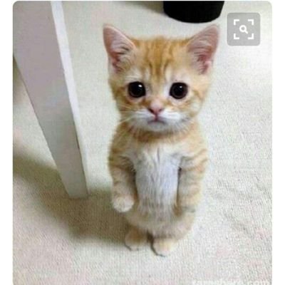 kdyjh64893's profile picture.