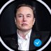 CEO OF Tesla Stock (@elon_keikus_) Twitter profile photo CEO OF Tesla Stock (@elon_keikus_) Twitter profile photo