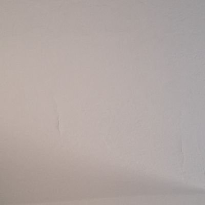 Nicot0202's profile picture. 