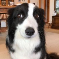 Mack (@mmckpws) 's Twitter Profile