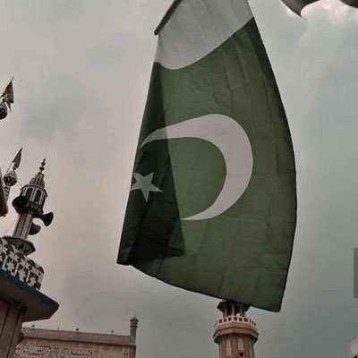 thisgalrants's profile picture. a bloody civilian - free palestine 🍉