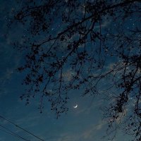 ماهر الجهيمي (@p3o_3) 's Twitter Profile