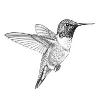 Moisés diaz ortega (@moissdiazo26383) 's Twitter Profile Photo