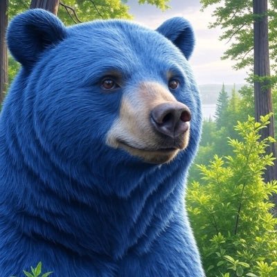 m0gum0gu_bear's profile picture. 中四国でのサウナ活動、道の駅ラリー、ホビーを通じて地方の魅力を発信します。