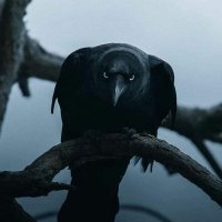 Mystical Artefacta - Morgana πΎπββ¬ Iolanda π¦ββ¬πΎ (@mysticalarts8) 's Twitter Profile