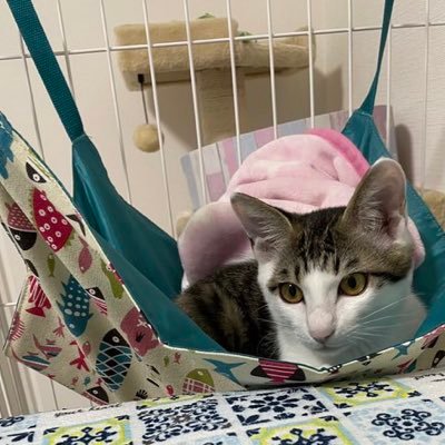 Happiness1067's profile picture. 