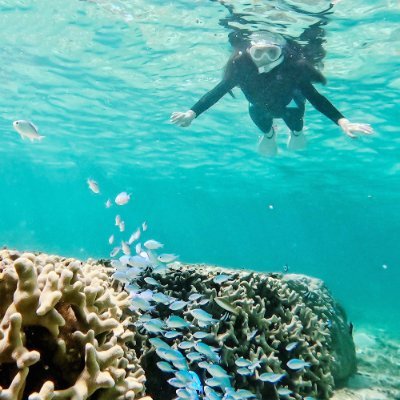 LynnAthenana's profile picture. The darkness will pass, and the dawn will come. 🚫Don't porn  #Bitcoin #Ethereum #Crypto