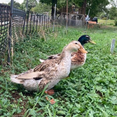 生まれたてアカウント🐣 スタートアップで採用担当。フジロック、朝霧、音楽、映画、お笑い、エレ片、フルート、ラジオ、手塚治虫、動物が好きです。