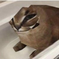 Kenshin (@k_nshinw) 's Twitter Profile