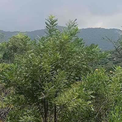 RRanjithsa70140's profile picture. 