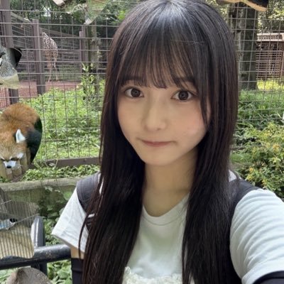 ori1234567saki's profile picture. 片山紗希ちゃん新規🐰 #sakiblog #sakitalk