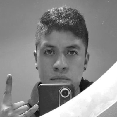 Levántate una y otra vez hasta que los corderos se conviertan en Leones.