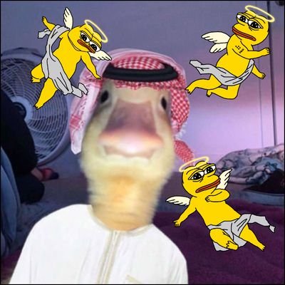Hndrxxx__'s profile picture. web3 and crypto nerd.