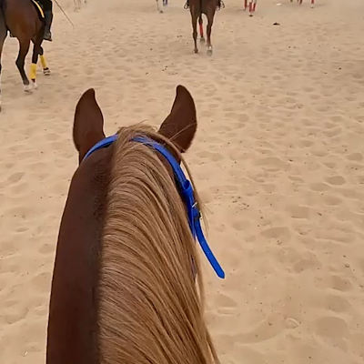 32_shmmari's profile picture. 