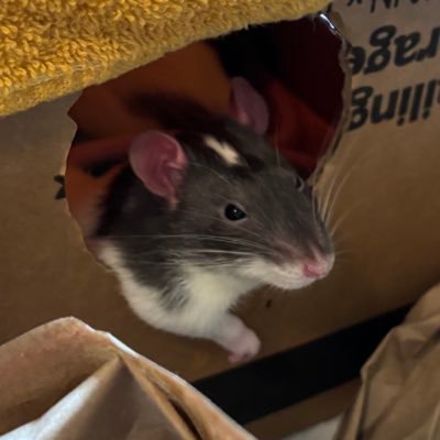 poisonous shrew from hell. public defender. lawyer for babies.