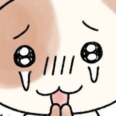 AI90NG's profile picture. アイドルが大好き！！/ 猫コレクター🐈‍⬛